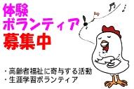 �̌��{�����e�B�A��W��
